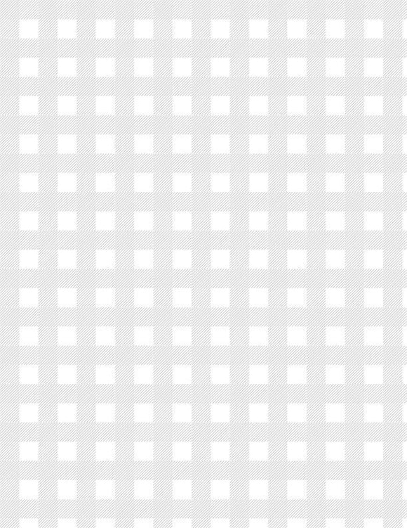 Wilmington Prints Buffalo Check White on White 1817-39148-100