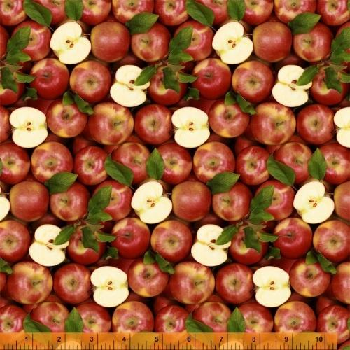 Windham Fabrics A La Carte Apple a Day Multi 51889D-X