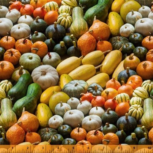 Windham Fabrics A La Carte Full of Gourdness  Multi 51896D-X