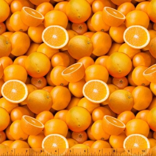 Windham Fabrics A La Carte Vitamin C  Multi 51889D-X