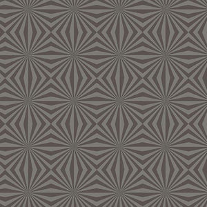 Andover Fabrics Stealth Rays Stone A-9658-C1