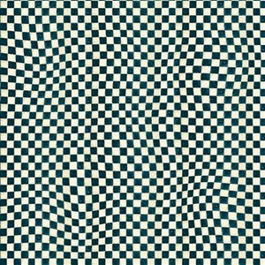 Clothworks Snovalley Digital Check Dark Sky  Y3873-99