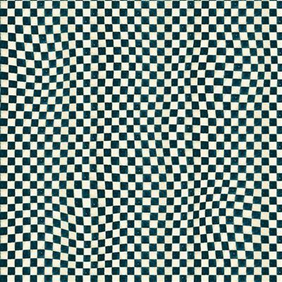 Clothworks Snovalley Digital Check Dark Sky  Y3873-99