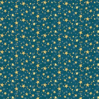 Clothworks Snovalley Digital Stars  Dark Sky  Y3872-99