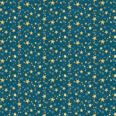 Clothworks Snovalley Digital Stars  Dark Sky  Y3872-99