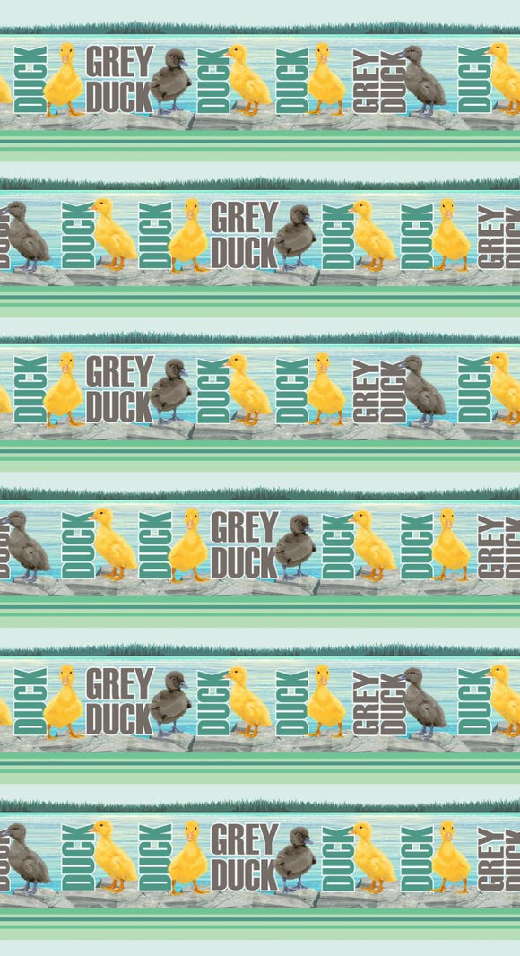 $15.49 * PREORDER* Clothworks Quilt Minnesota 2024 Pictoral Stripe Duck Duck Grey Duck Y4175-100