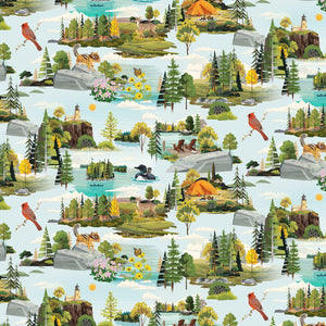 Clothworks Quilt Minnesota 2024 Toile Light Sky Y4176-97