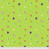 Free Sjpirit Fabrics Tula Pink Daydreamer PWTP175.KIWI