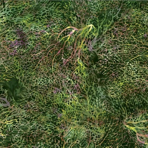 Hoffman Fabrics Bali Batik Wildfire Pine R2290-141