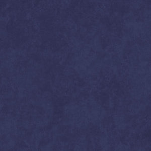 Maywood Studio Shadow Play Flannel Tonal Crown Blue F513-N32
