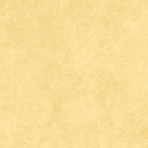 Maywood Studio Shadow Play Flannel Tonal Hello Sunshine F513-S19