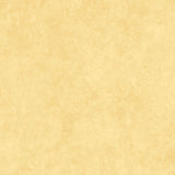 Maywood Studio Shadow Play Flannel Tonal Hello Sunshine F513-S19