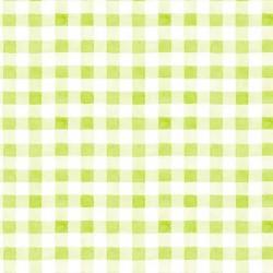 Michael Miller Fabrics Picnic by the Lake Summer Gingham DC9840-GREE-D