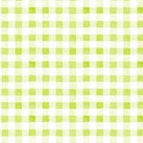 Michael Miller Fabrics Picnic by the Lake Summer Gingham DC9840-GREE-D