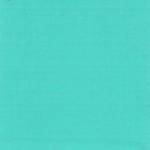 Moda Fabrics Bella Solids Bermuda 9900 269