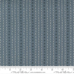 Moda Fabrics Dandi Duo Graphite 48755 17