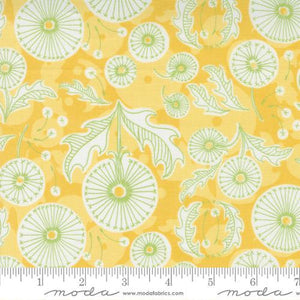 Moda Fabrics Dandi Duo Maize 48751 12