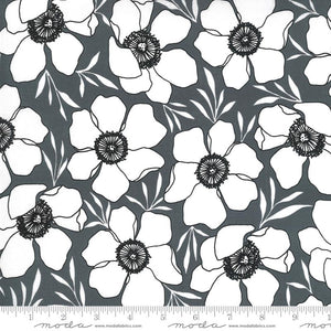 Moda Fabrics Illustrations Graphite  11502 14