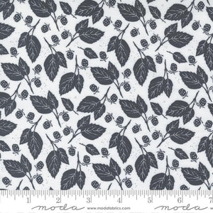 Moda Fabrics Midnight In Garden Mist Charcoal 43125 21