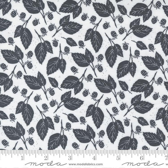 Moda Fabrics Midnight In Garden Mist Charcoal 43125 21