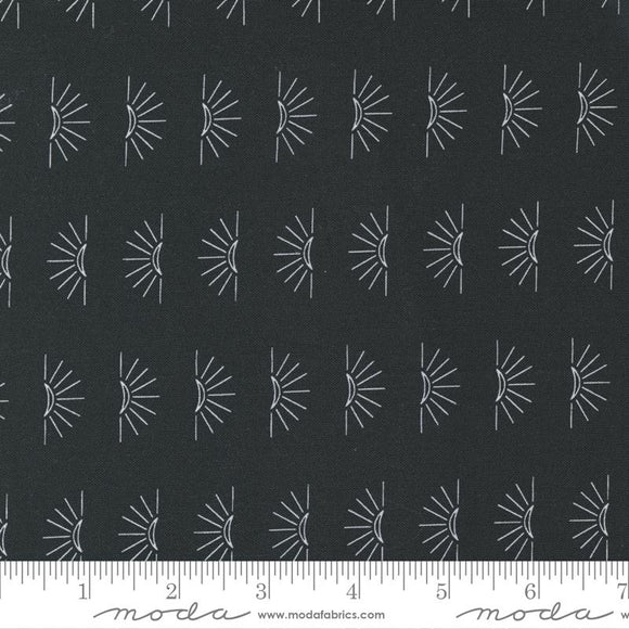 Moda Fabrics Nocturnal Night 48336 12