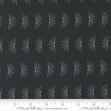 Moda Fabrics Nocturnal Night 48336 12