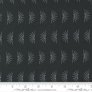 Moda Fabrics Nocturnal Night 48336 12