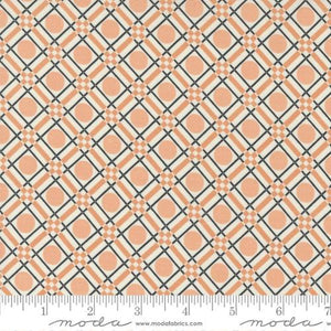 Moda Fabrics Owl O Ween Ghost 31193 11