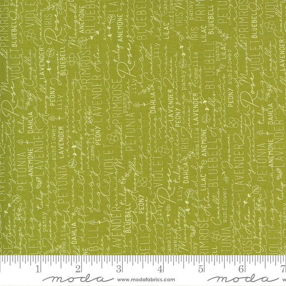 Moda Fabrics Spring Chicken Green 55520 23