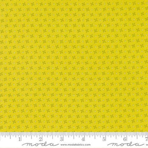 Moda Fabrics Strawberry Lemonade Lemonade 37675 18