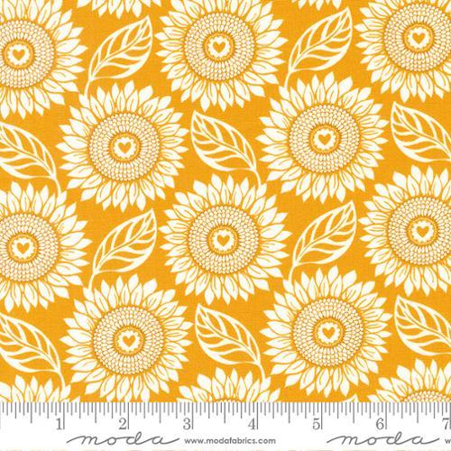Moda Fabrics Sunflowers In My Heart Golden  27321 22