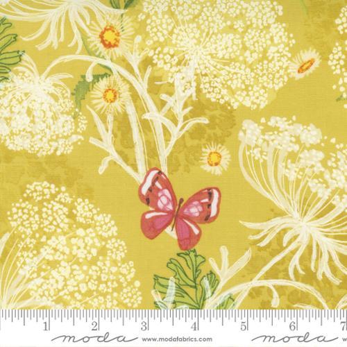 Moda Fabrics Wild Blossoms Maize 48733 12