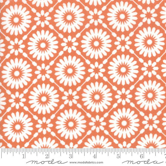 Moda Fabrics Midnight Magic Pumpkin 14080 12
