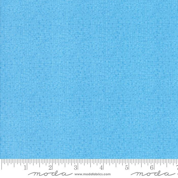 Moda Fabrics Thatched Sky 48626 93