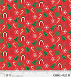 P&B Textiles Christmas Miniatures  04723 R