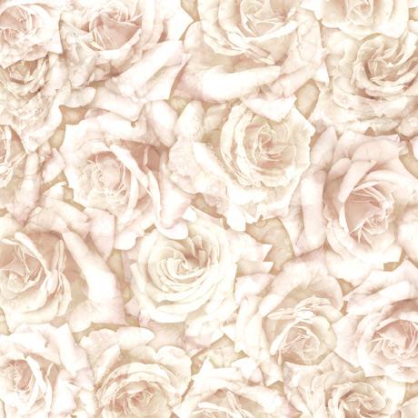 QT Fabrics Blossom - Rose - E 1649 28842 E 150