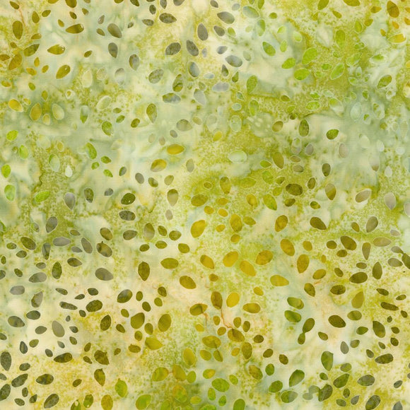 Robert Kaufman Fabrics Celebrate Fall AMD-21126-294  Yarrow