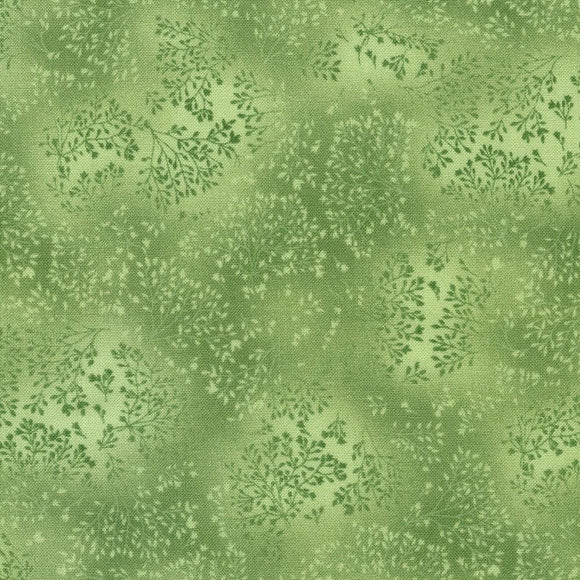 Robert Kaufman Fabrics Fusion Willow  5573-14