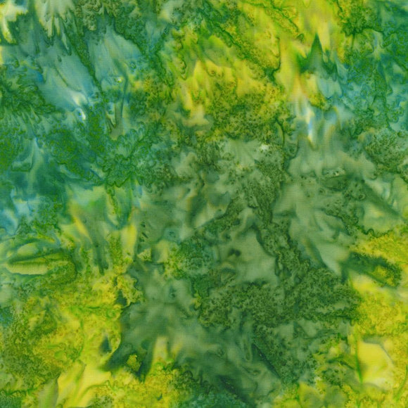Robert Kaufman Fabrics Wintergreen Batik Grass  AMD-21069-47