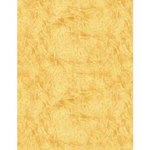 Wilmington Prints Garden Gate Feather Texture Yellow  3023-39817-555