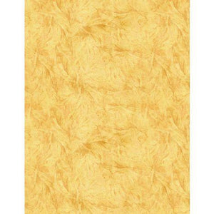 Wilmington Prints Garden Gate Feather Texture Yellow  3023-39817-555