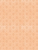 Wilmington Prints Paisley Place 3049-15708-888